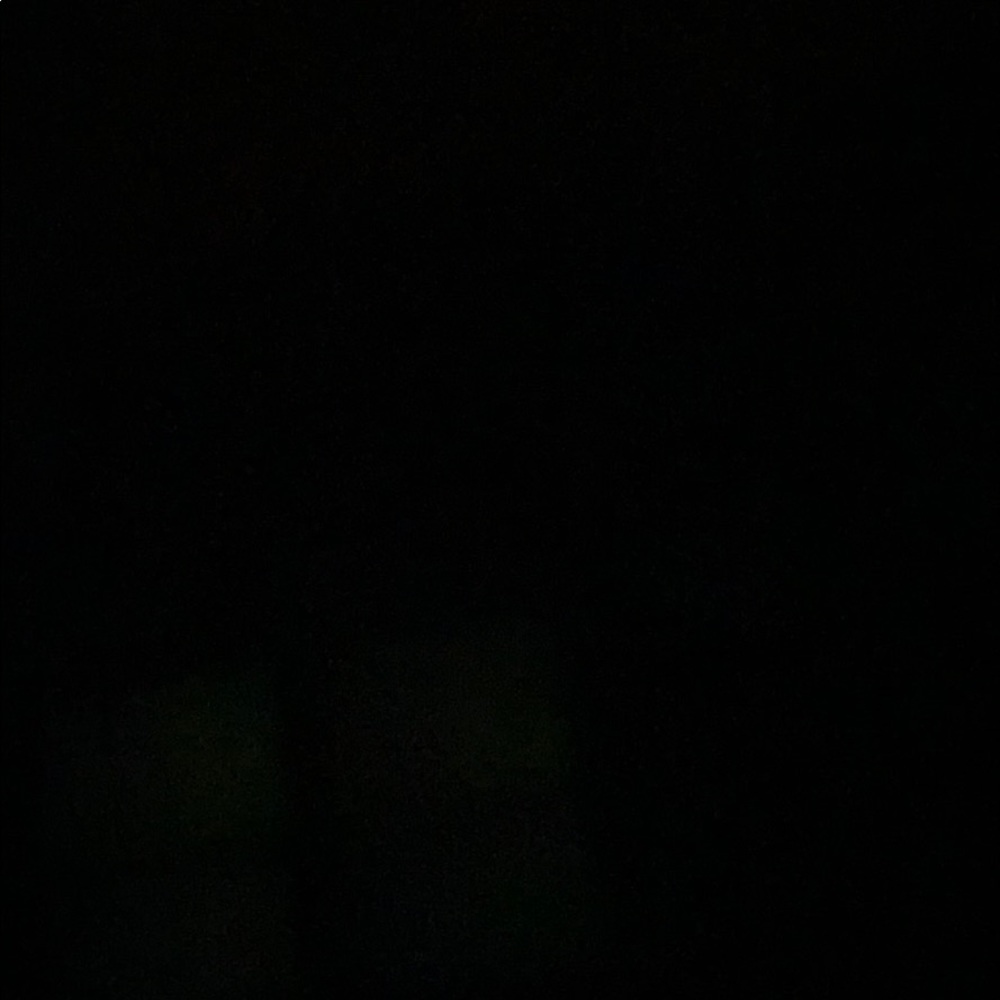 Meet your Posher, Shelby